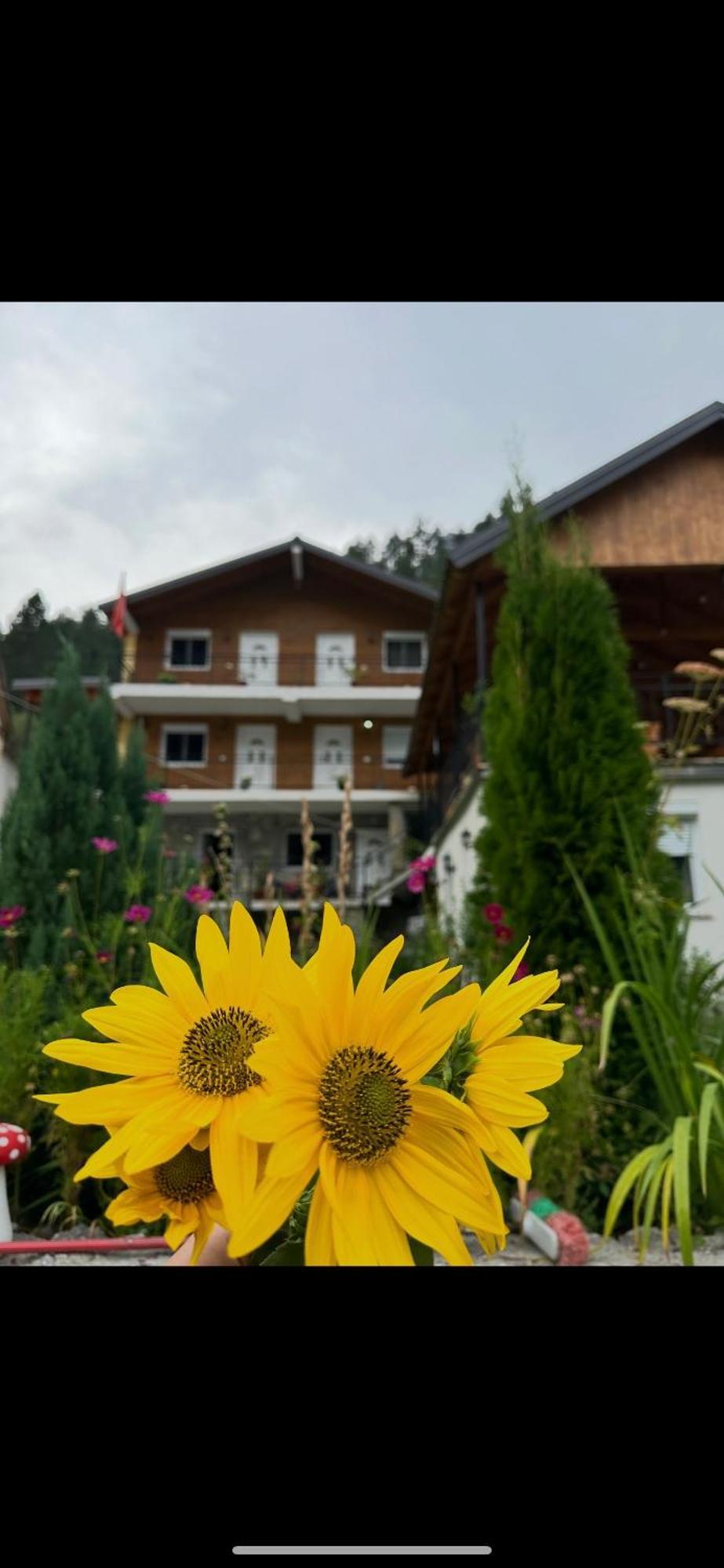 Bed and Breakfast Bujtina Brahim Selimaj Valbone Exterior foto