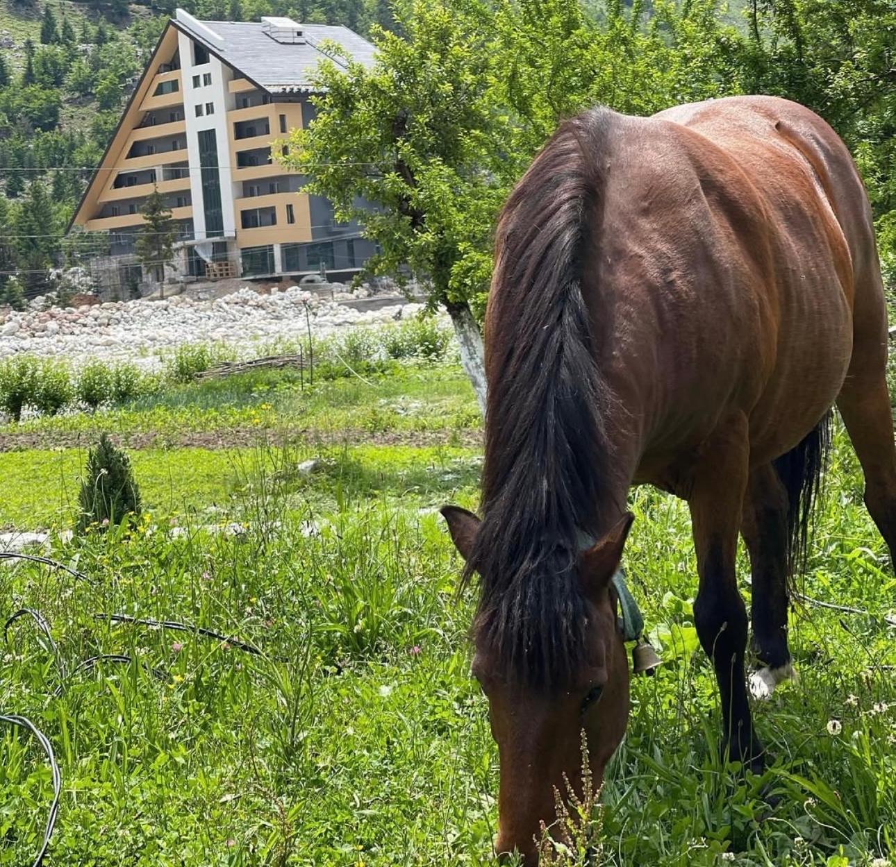 Bed and Breakfast Bujtina Brahim Selimaj Valbone Exterior foto